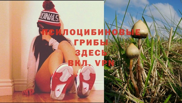 бошки Алексеевка