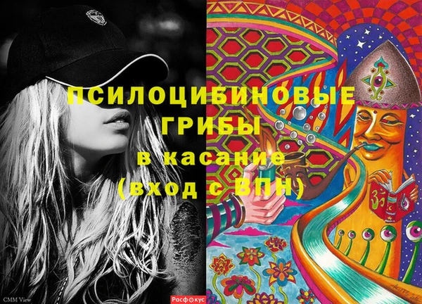 бошки Алексеевка