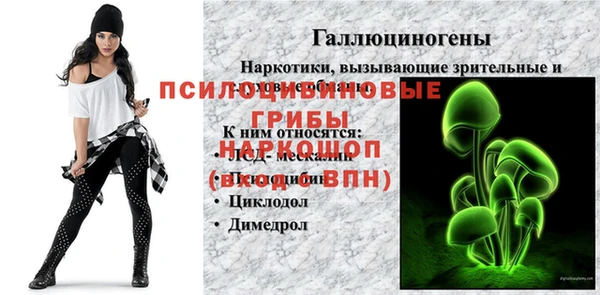 бошки Алексеевка