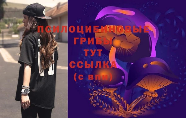 бошки Алексеевка
