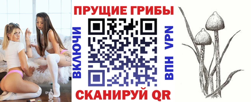 Псилоцибиновые грибы мицелий  Николаевск-на-Амуре 